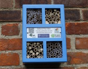 Bee hotel and hedgehog igloo