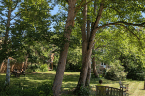 bench in shade