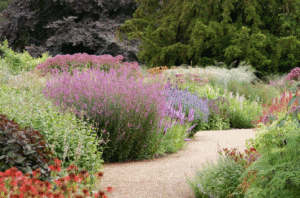 imagined flower path