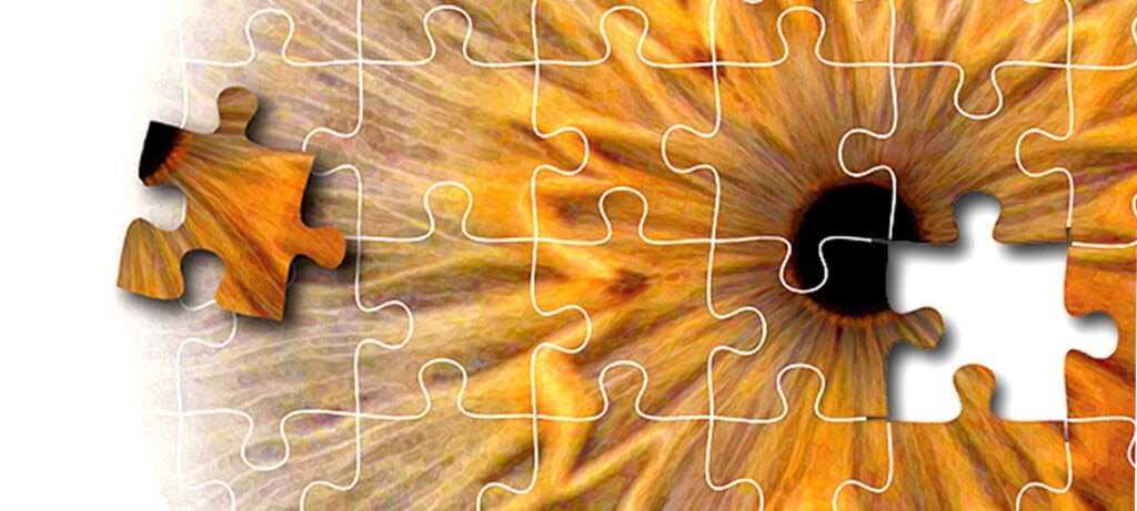 image of iris in jigsaw puzzle